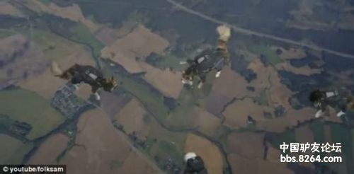 瑞典小貓表演“高空跳傘”空中變換隊(duì)形似大雁 瑞典小貓表演“高空跳傘”空中變換隊(duì)形似大雁