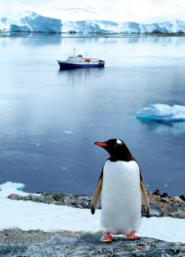 南極 深寒極限中的極限探險 南極 深寒極限中的極限探險