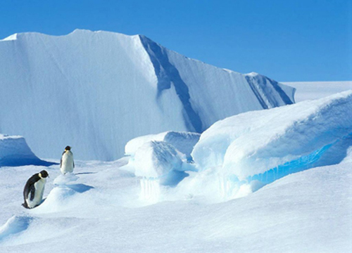 南極 深寒極限中的極限探險 南極 深寒極限中的極限探險