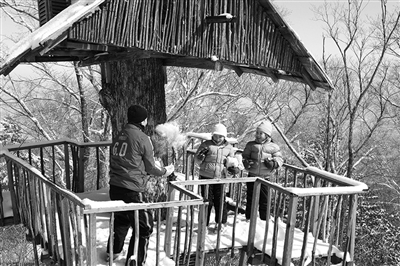 　　clubmed里有來自國外的滑雪教練教兒童滑雪?！? oldsrc=