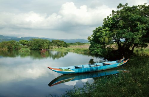 關(guān)渡賞鳥趣樂(lè)繽紛