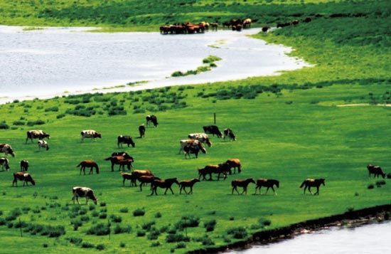 　　處處翠色欲流,馬兒自然入畫?！? complete=