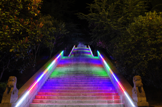 夢幻新境界 浪漫雞冠洞 夢幻新境界 浪漫雞冠洞