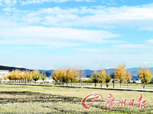 　　大理洱海湖畔美麗的鄉(xiāng)村景色。