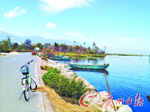 洱海的藍(lán)讓人沉醉。