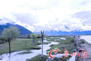 小路的一側(cè)是小溪,另一側(cè)是河流。