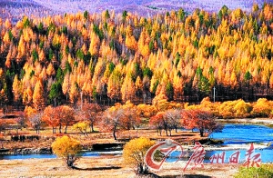 　　呼倫貝爾秋色。