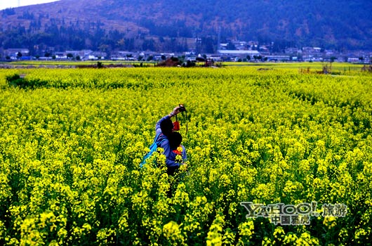 　　不論從人文氣息還是田園自然風(fēng)光,都值得我們?？?。(圖片來源:CFP)
