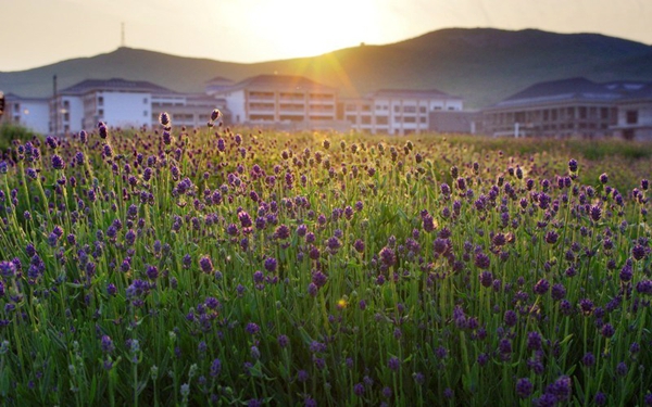 別樣蜜月，河南最適宜新婚度假的景區(qū)