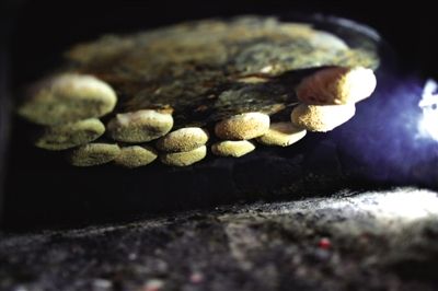 吊爐燒餅是黃驊最典型的面食之一，這種手藝在一些老院子里已經(jīng)傳承了上百年時(shí)間。