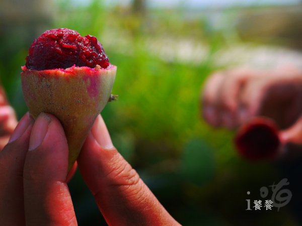 舌尖上外婆的澎湖灣 舌尖上外婆的澎湖灣