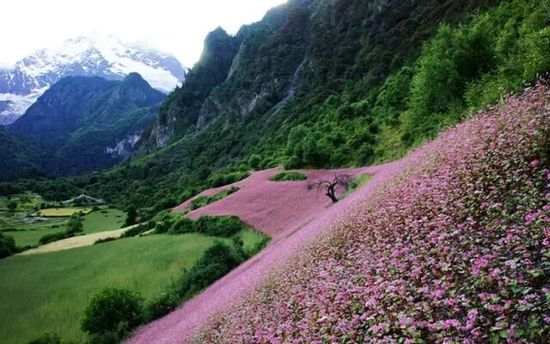 云南的另一個(gè)天堂 我約你一起去！