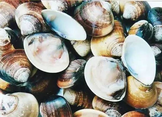 秋季最適合吃的海鮮是這10種 你吃對了嗎？