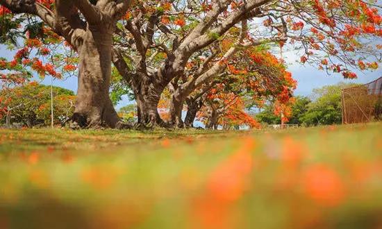 適合在冬天旅游的十個(gè)絕美海島！