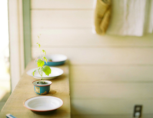 測試你適合發(fā)展辦公室戀情嗎? 測試你適合發(fā)展辦公室戀情嗎?