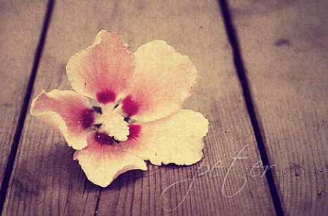 箬耶一周星座運(yùn)勢(shì)播報(bào)2013.11.18-11.24