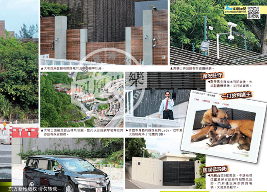 林青霞11億豪宅 林青霞11億豪宅