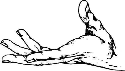 　時間：拿到通知書，未報到就可申請