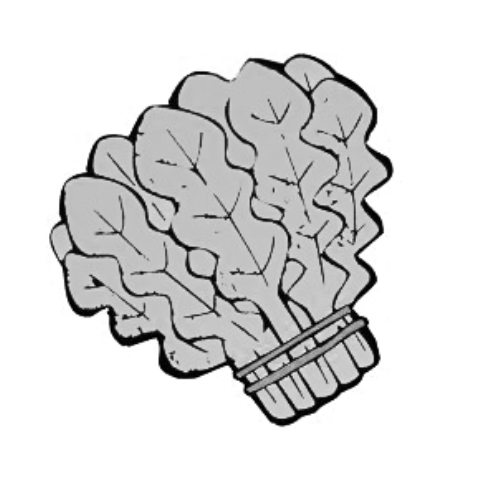 雪后菜價(jià)瘋漲15倍？沒(méi)恁夸張 元旦豬肉雞蛋或漲價(jià)