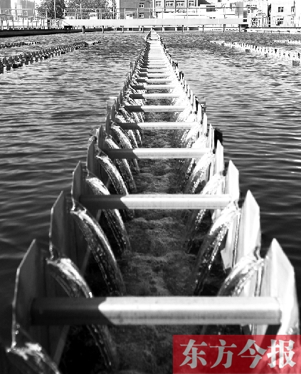 年底鄭州自來水將完成深度改造 未來不再有“土腥味” 年底鄭州自來水將完成深度改造 未來不再有“土腥味”