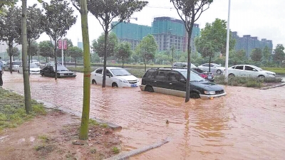 昨日，信陽突降暴雨，路面積水已淹沒輪胎。首席記者 何正權(quán) 通訊員 楊小燕 攝影