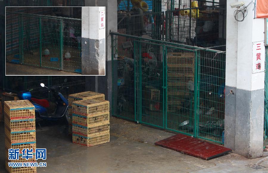上海6日起暫?；钋萁灰?關(guān)閉所有活禽交易市場