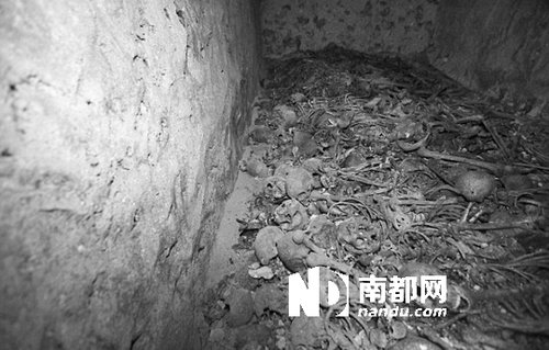 　5月29日，在以色列特拉維夫市雅法地區(qū)，一處集體墳?zāi)贡话l(fā)現(xiàn)。