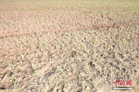 2014年7月31日早晨，浙江紹興市區(qū)蔬菜批發(fā)市場(chǎng)旁邊的土地已經(jīng)發(fā)生開(kāi)裂。