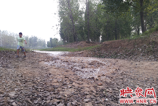 18日丹江水沿澎河流向白龜山水庫，孩子歡騰起來，跟著水頭奔跑。