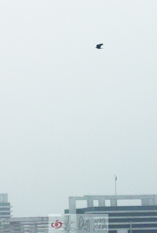 全省35個縣市發(fā)布惡劣天氣預(yù)警信號，其中15個發(fā)布大霧紅色預(yù)警