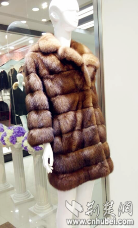 武漢一貂皮大衣標(biāo)價999999元 可買一套房(圖)