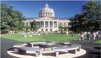 紐約大學(xué)阿布扎比分校。資料圖片