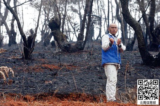 山林被燒得滿目瘡痍。