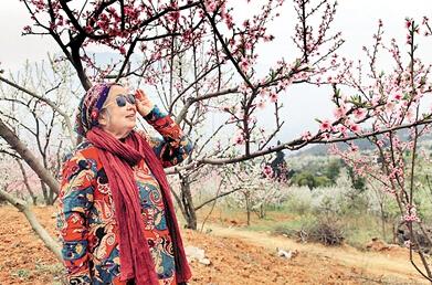 公式“時尚奶奶”的賞花照，收獲了好多人的點贊。 受訪者供圖