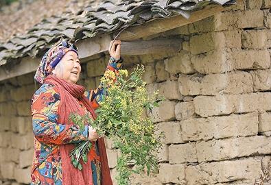 公式“時尚奶奶”的賞花照，收獲了好多人的點贊。 受訪者供圖