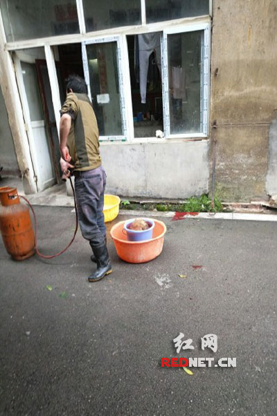 5月8日，男子在校園里殺狗，地上殘留一塊血跡。目擊者供圖。