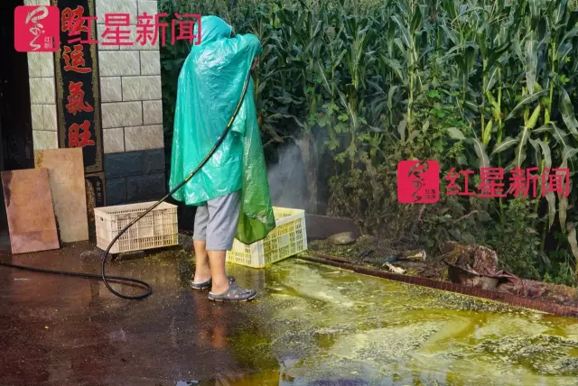 文玩核桃遇冷由幾萬一對降到5元沒人要？商戶否認