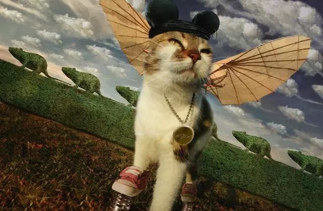 一只虛擬寵物貓叫價(jià)13億元？云養(yǎng)貓成真