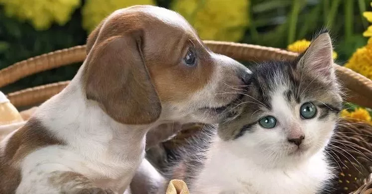 可憐！12歲女孩右眼完全失明 只因平時有這愛好