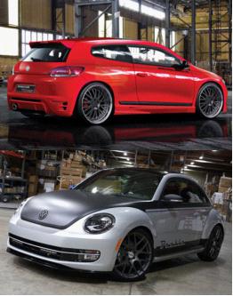 尚酷、甲殼蟲