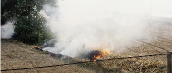 鄭州深陷“霾”伏   都是燒秸稈惹的禍？