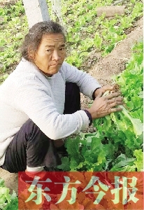 收留流浪老人一個(gè)月 鄭州“蘿卜哥”發(fā)微博幫其尋親 收留流浪老人一個(gè)月 鄭州“蘿卜哥”發(fā)微博幫其尋親