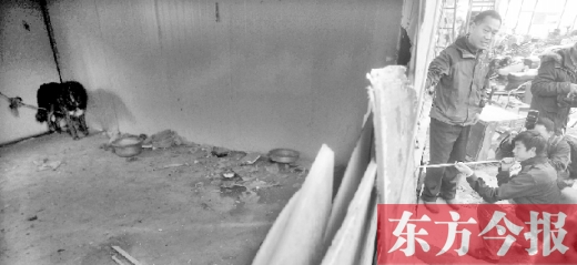 12月4日，鄭州市未來路與隴海路交叉口西側(cè)，執(zhí)法人員用吹管麻醉針對付一只藏獒