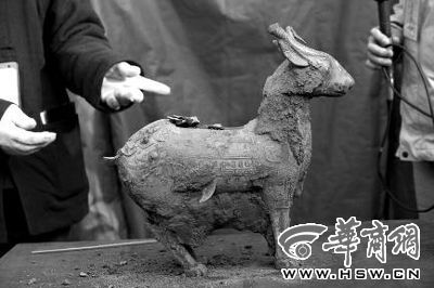 一件似羊似鹿的犧尊華麗亮相，可愛的造型“萌翻”現(xiàn)場。