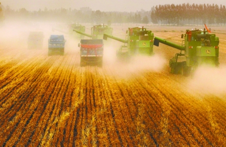 田里，一臺臺收割機唱著豐收歌。