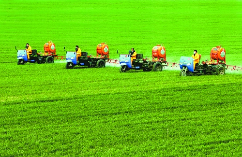 車(chē)載噴霧機(jī)奔駛在萬(wàn)畝高產(chǎn)田里。