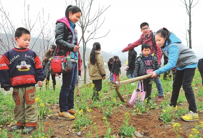 我挖坑來你栽樹 我挖坑來你栽樹
