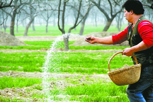 3月18日，內(nèi)黃縣城關(guān)鎮(zhèn)農(nóng)民在給小麥?zhǔn)┓?。眼下正是冬小麥返青的關(guān)鍵時(shí)期，內(nèi)黃縣廣大農(nóng)民積極開(kāi)展以澆水