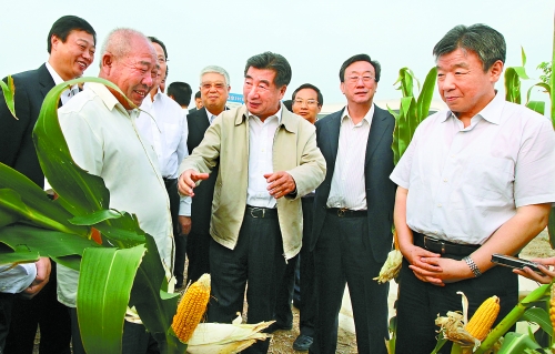 圖為回良玉在鄧州市腰店鄉(xiāng)草寺村視察萬畝玉米高產(chǎn)示范方。