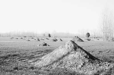 淮陽縣豆門鄉(xiāng)倒栽槐村尚未平遷墳頭的農(nóng)田 淮陽縣豆門鄉(xiāng)倒栽槐村尚未平遷墳頭的農(nóng)田